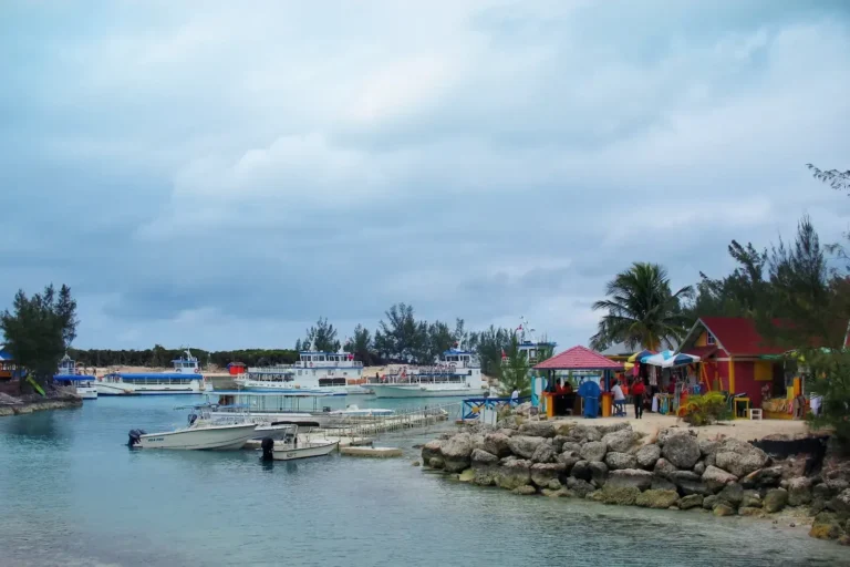 boats on body of water near houses on shore during day